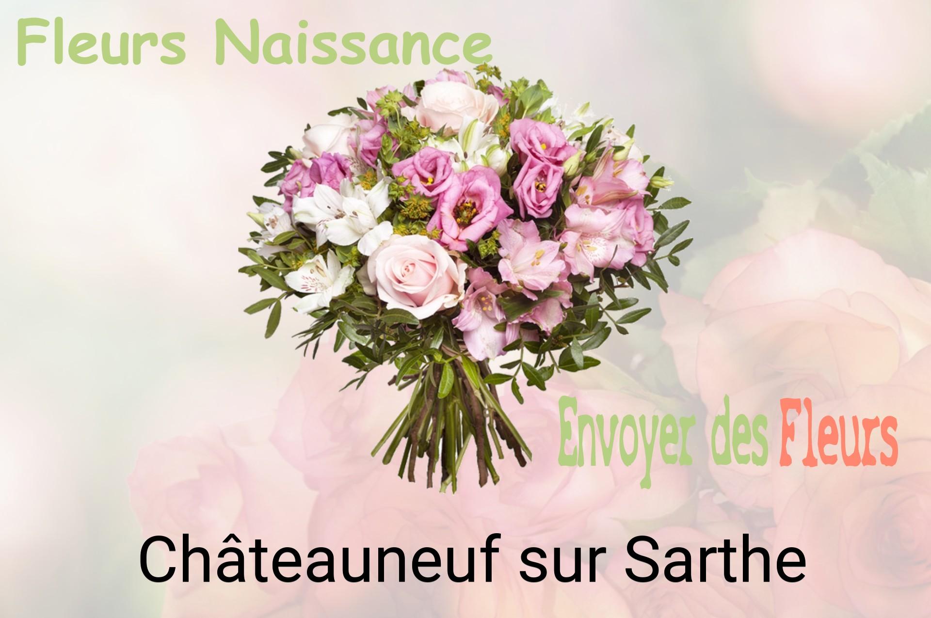 Bouquet de fleurs de naissance livré à Châteauneuf-sur-Sarthe